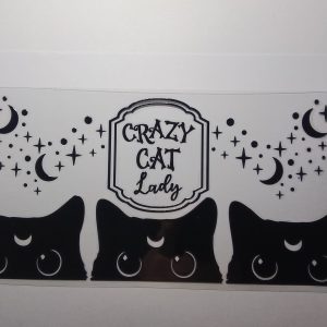 Crazy cat lady